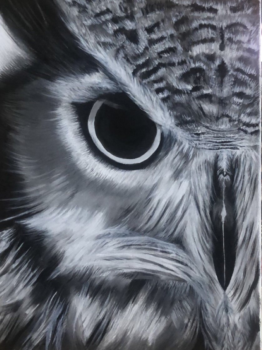 The Owl Who Remembers